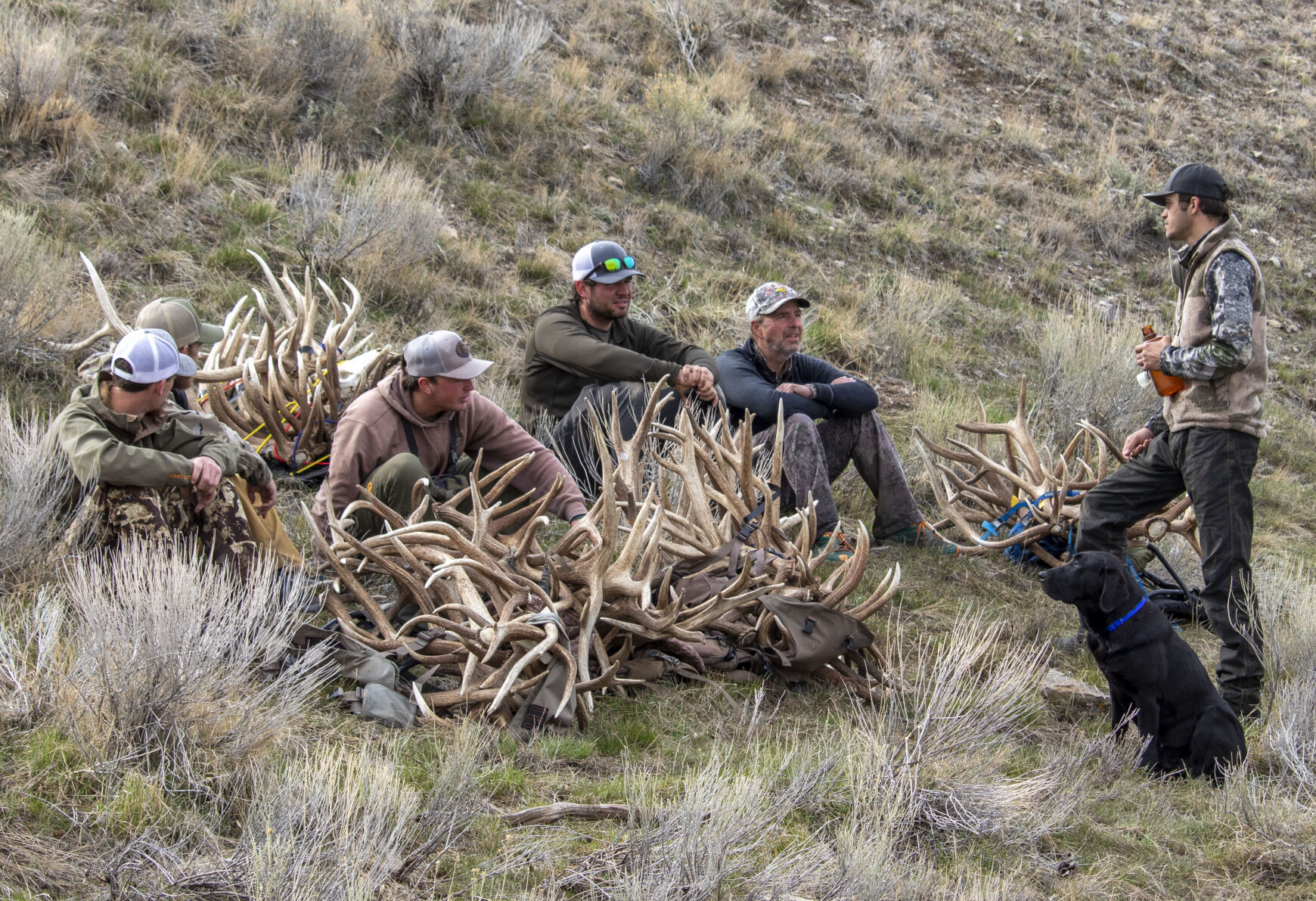 Antler hunt